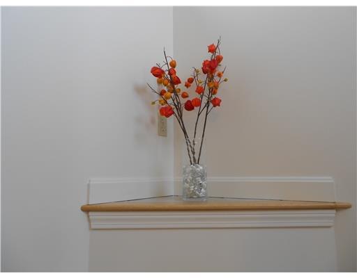 1094 Newbury Neck Road Surry, ME 04684 - Photo 13 of 25 Other.