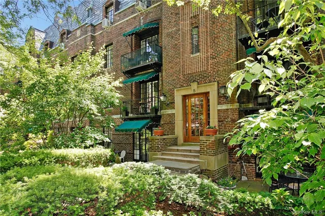 a view of a garden with plants