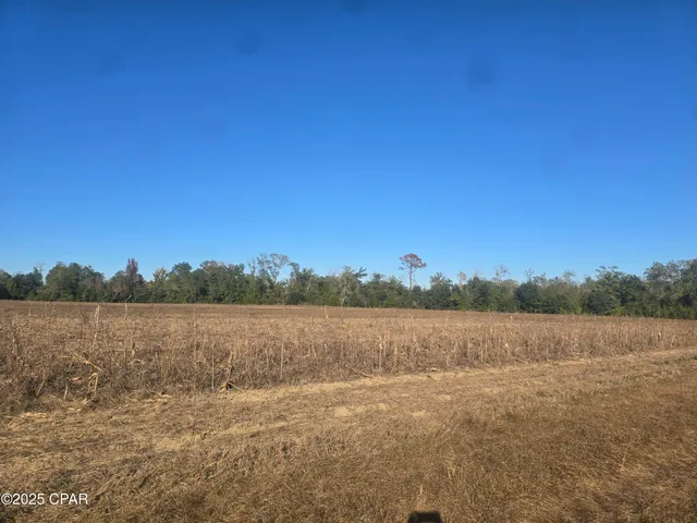 $349,000 | 0 Texas Street, Alford, FL 32420