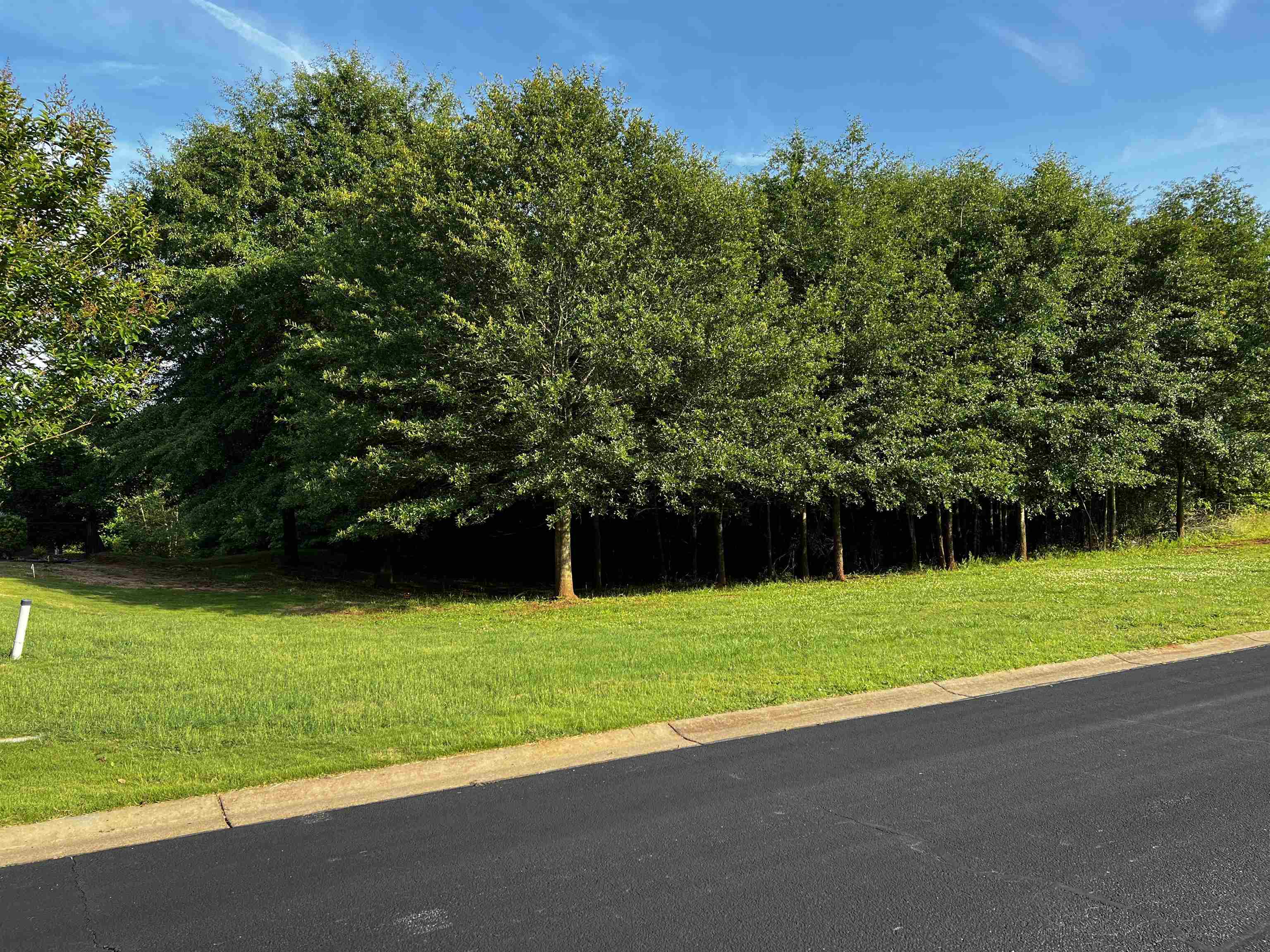 960 Echo Ridge Drive Duncan, SC 29334 - Photo 4 of 4