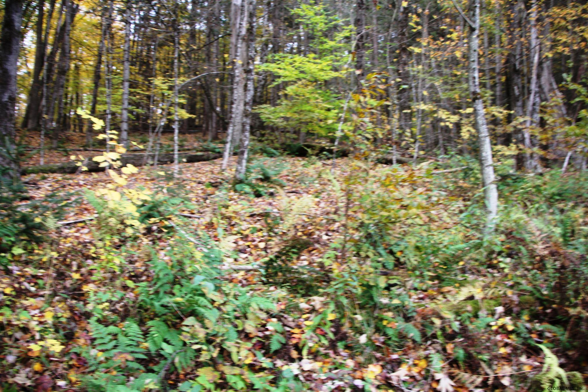 213 Misty Mountain Road Fulton, NY 12175 - Photo 13 of 14 Photo 13