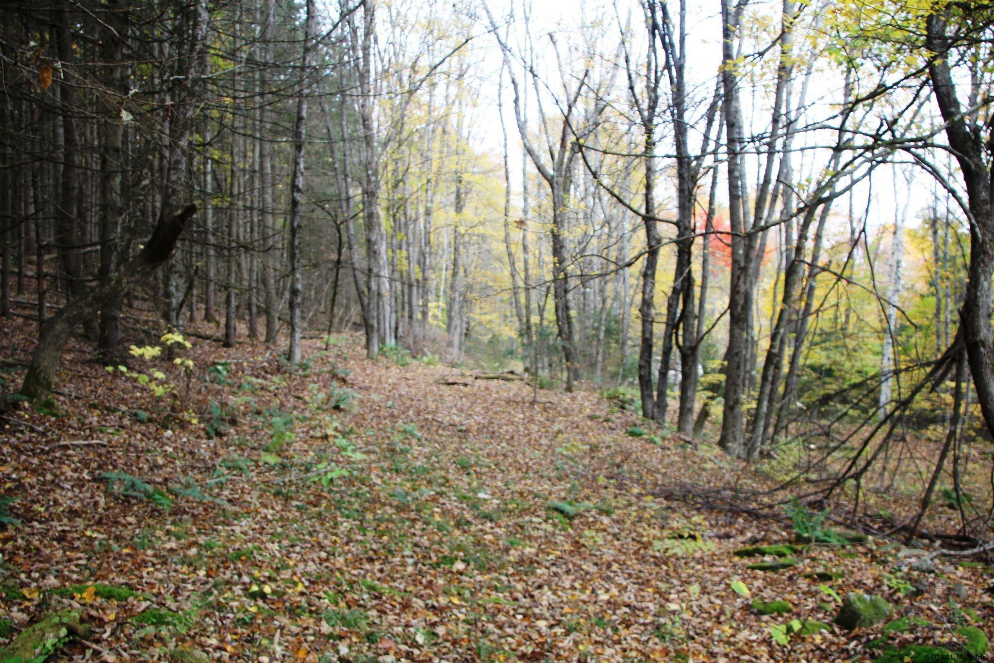 213 Misty Mountain Road Fulton, NY 12175 - Photo 4 of 14 Photo 4
