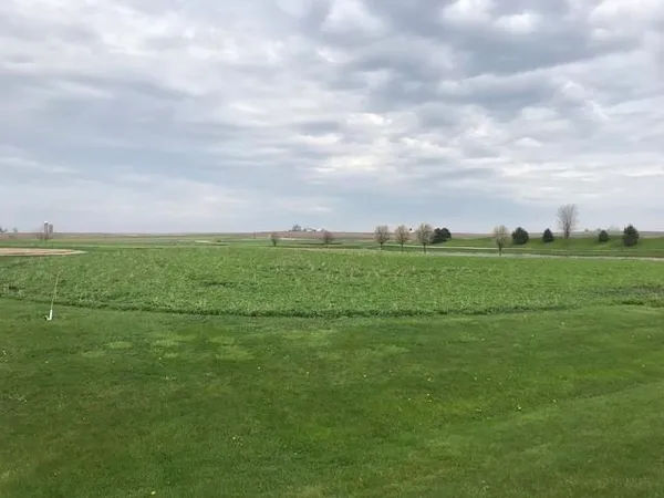 a view of a field with an ocean and trees