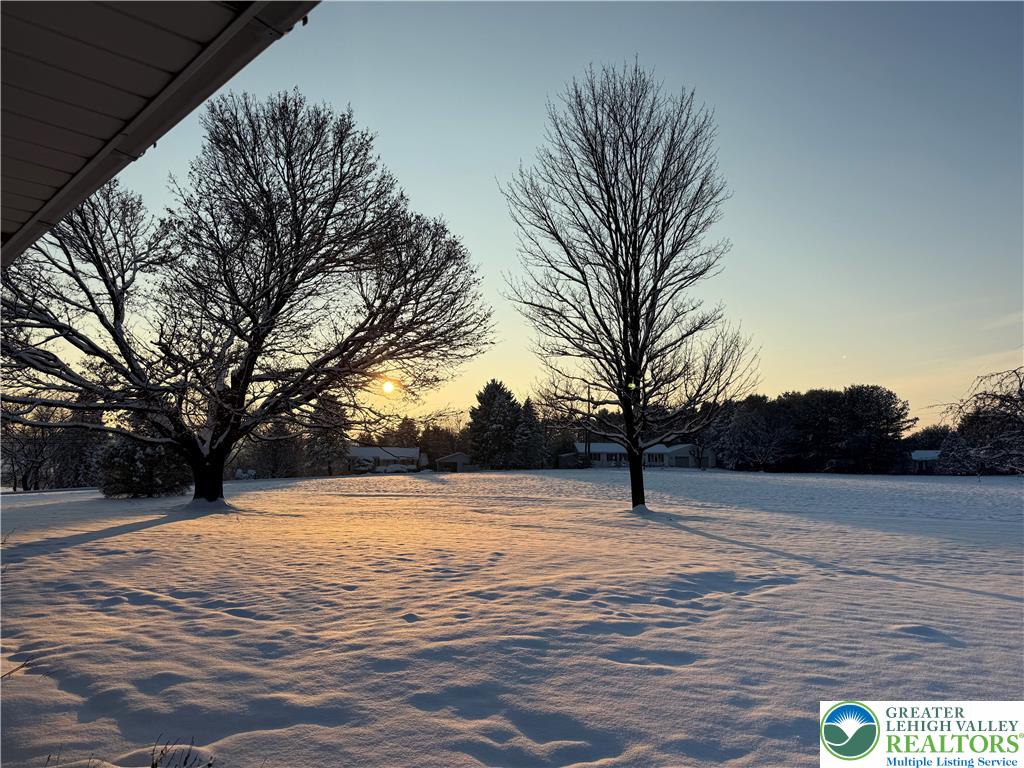 4754 Lowhill Church Road New Tripoli, PA 18066 - Photo 17 of 17 a view of yard and trees