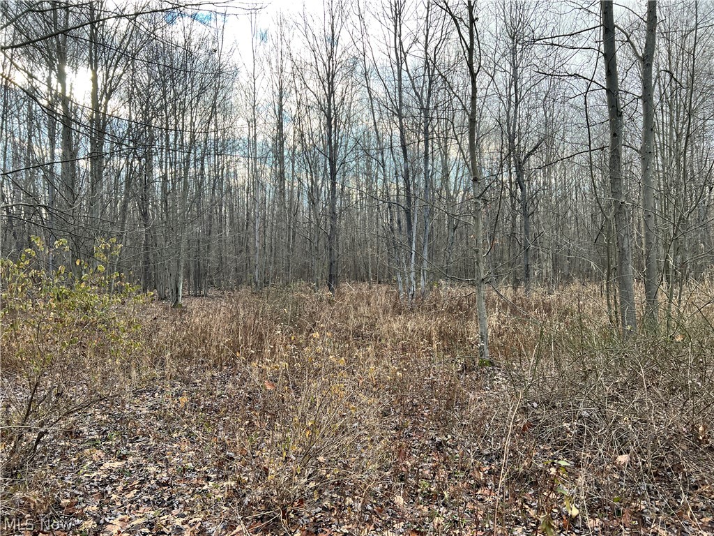 1291 Old Kyle Road Dorset, OH 44032 - Photo 2 of 21