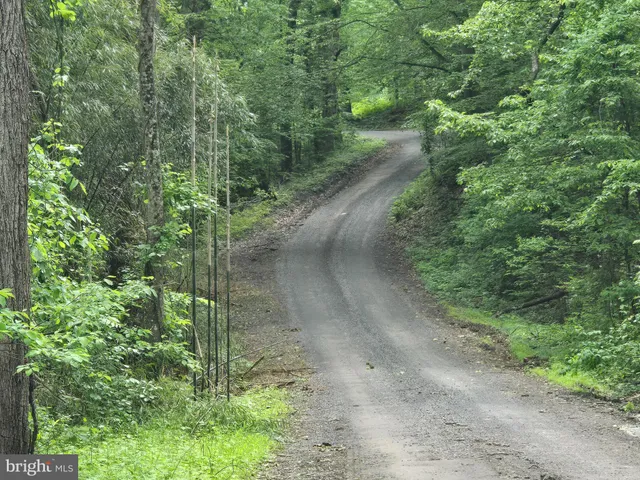 a view of a green field