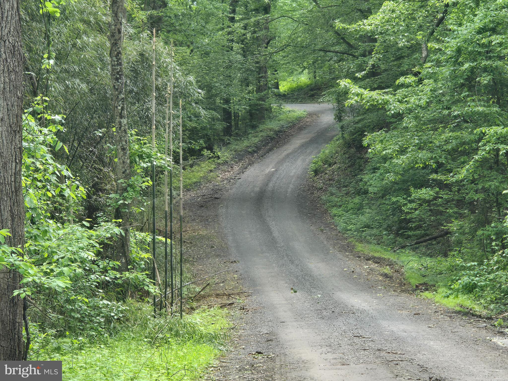 4127 Hardscrabble Road Linden, VA 22642 - Photo 13 of 17 a view of a yard