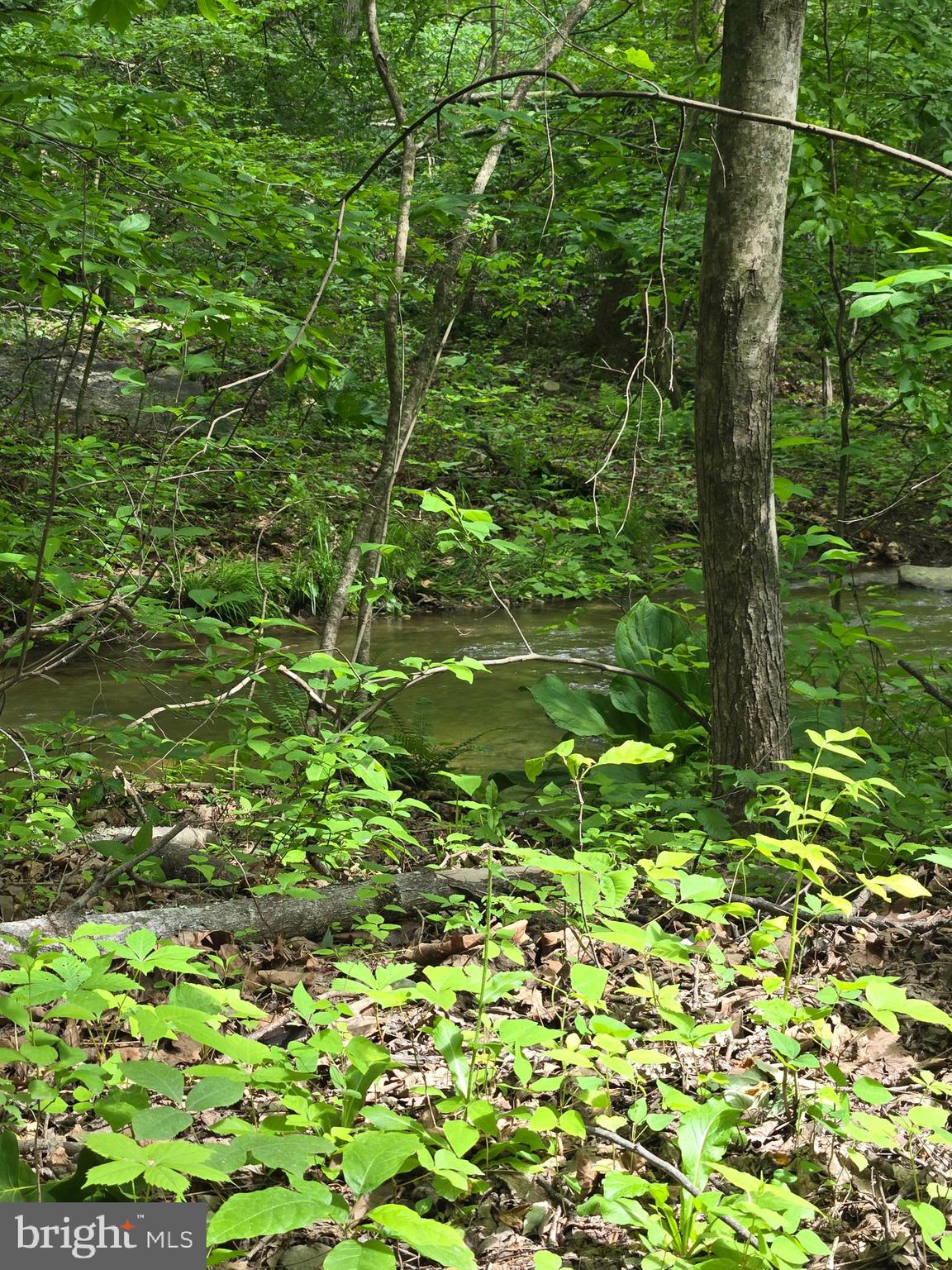 4127 Hardscrabble Road Linden, VA 22642 - Photo 8 of 17 a view of a garden
