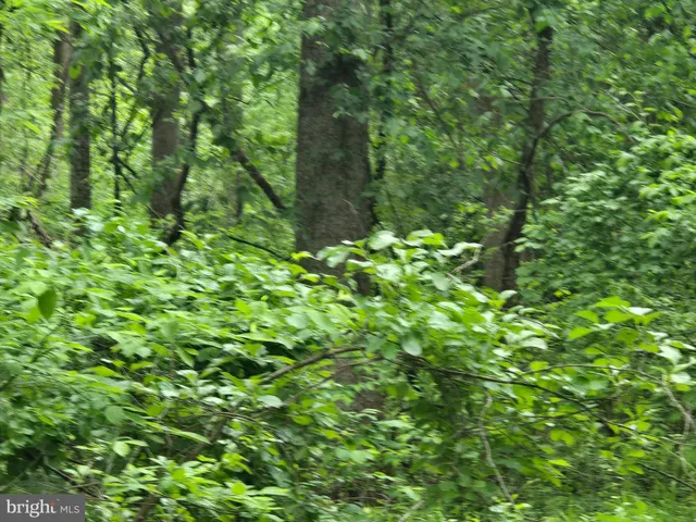 a backyard of a house with lots of green space and a lake view