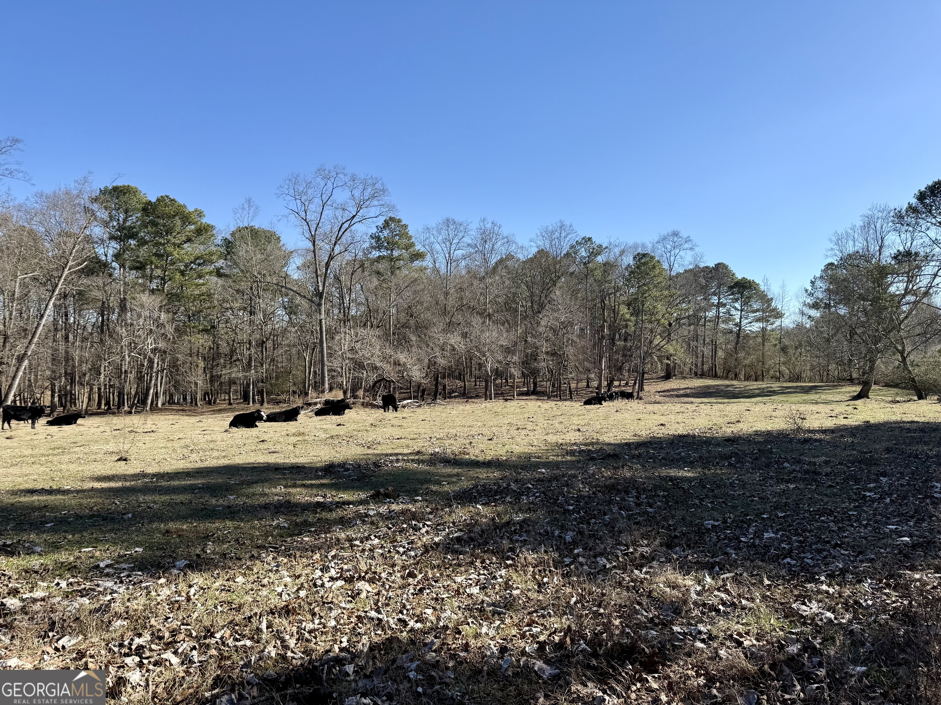 0 Kansas Jake Road Waco, GA 30182 - Photo 13 of 49