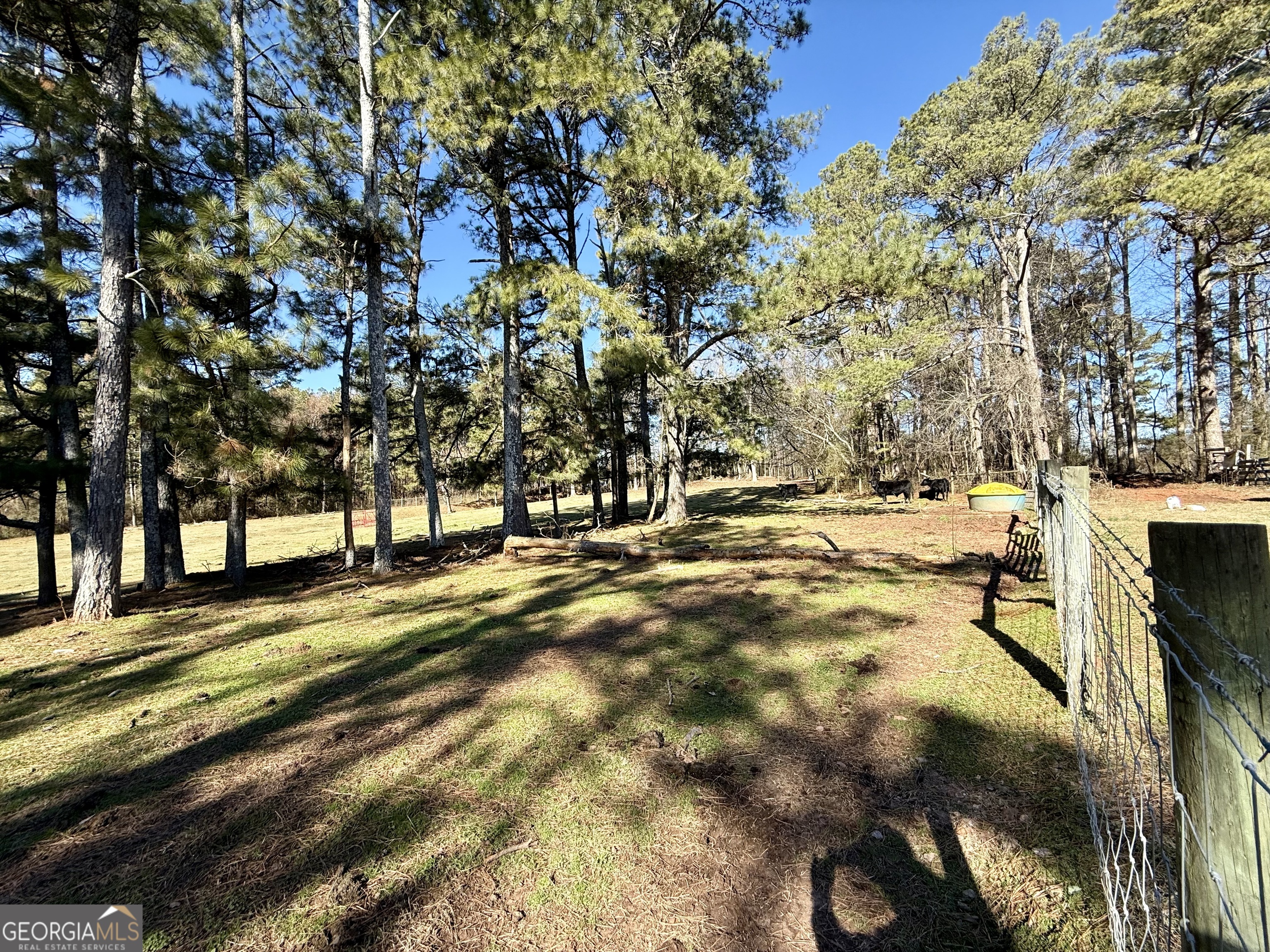 0 Kansas Jake Road Waco, GA 30182 - Photo 20 of 49