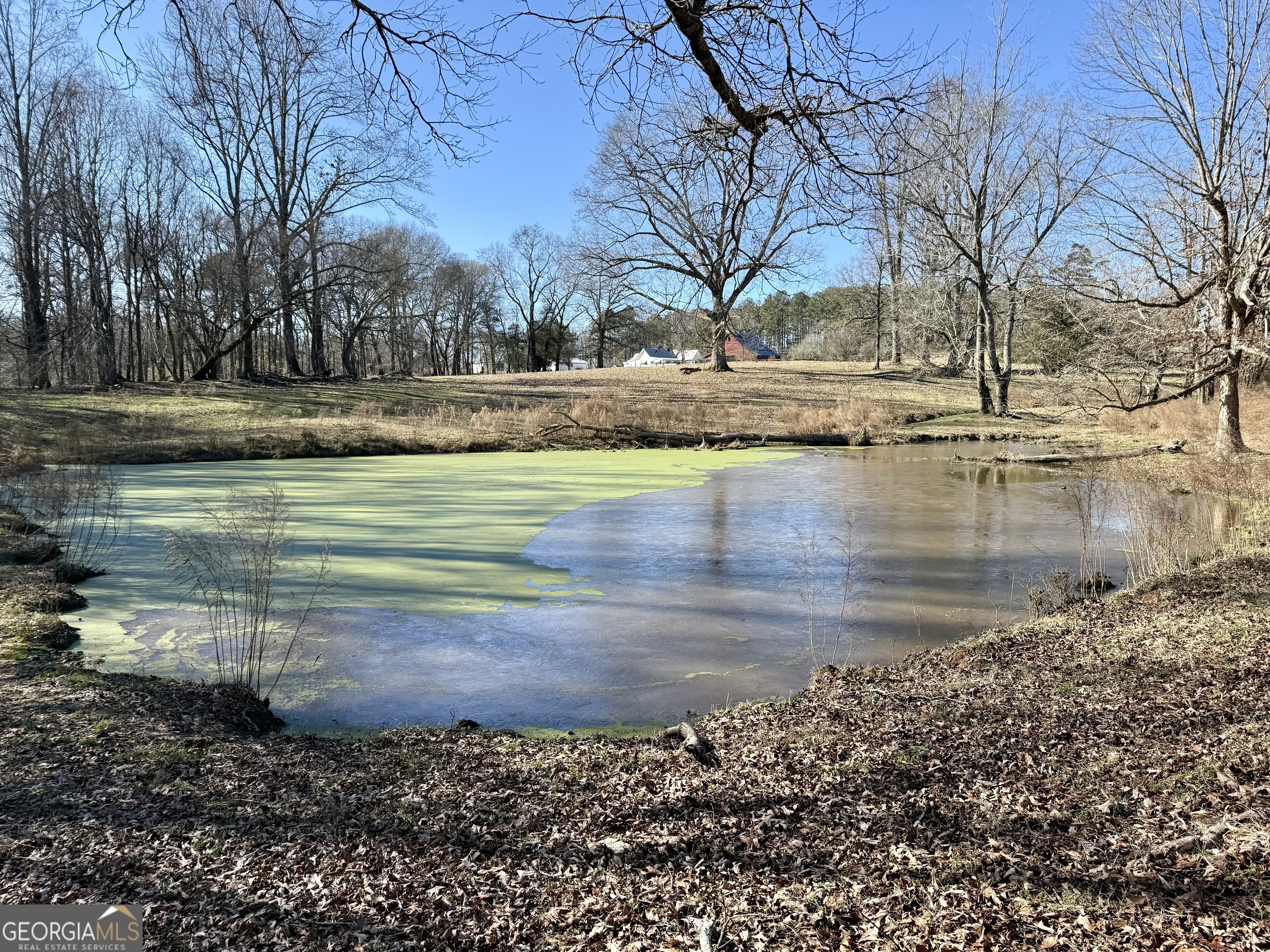 0 Kansas Jake Road Waco, GA 30182 - Photo 30 of 49