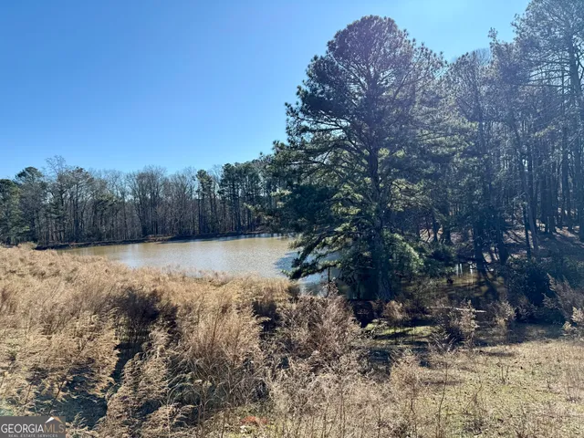 $2,300,000 | 0 Kansas Jake Road, Waco, GA 30182