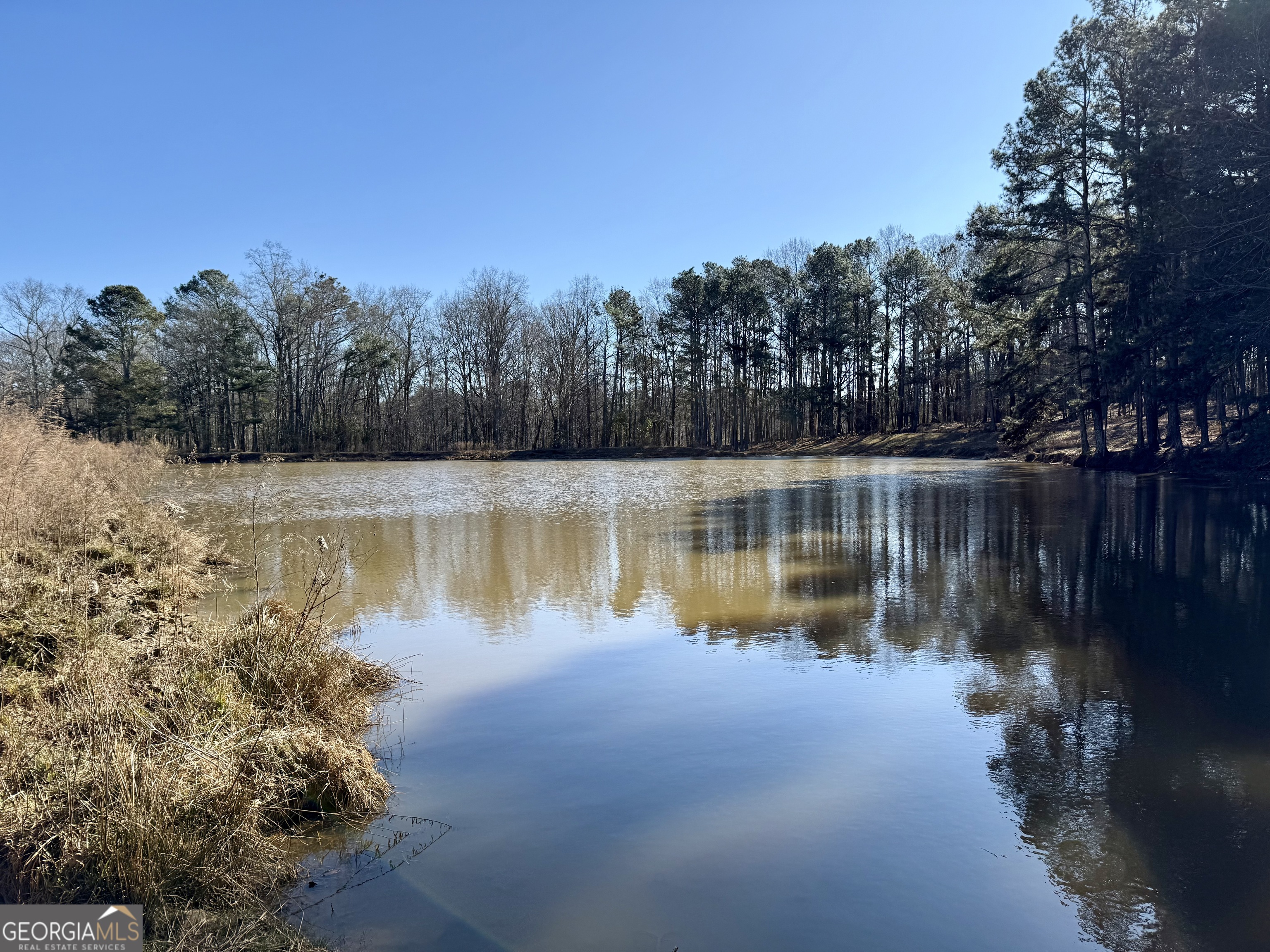0 Kansas Jake Road Waco, GA 30182 - Photo 9 of 49