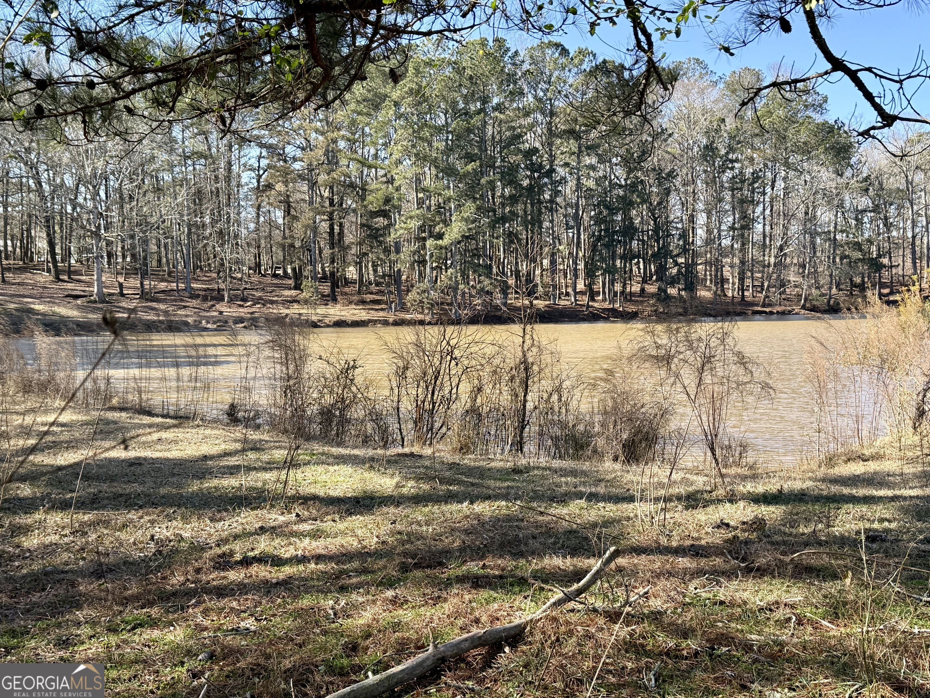 0 Kansas Jake Road Waco, GA 30182 - Photo 10 of 49