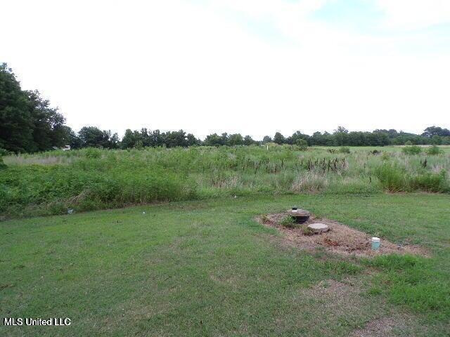 5521 Dubbs Road Dundee, MS 38626 - Photo 3 of 14 Dubbs6