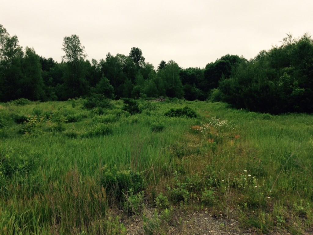 957 Lakewood Road Madison, ME 04950 - Photo 5 of 8 Open Land