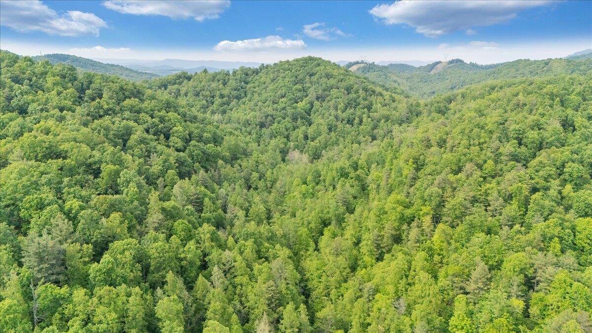 3994 Yates Road Shawsville, VA 24162 - Photo 16 of 40 39-DJI_20260516160916_0040_D