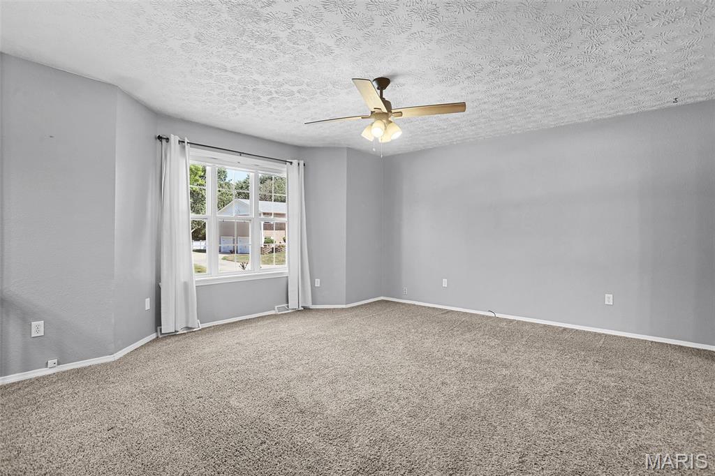 913 Long Branch Road Troy, IL 62294 - Photo 4 of 27 Gallery Image 4