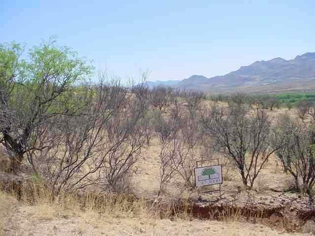 19 Avenida De Las Naciones Rio Rico, AZ 85648 - Photo 2 of 2