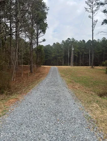 a view of outdoor space with trees all around
