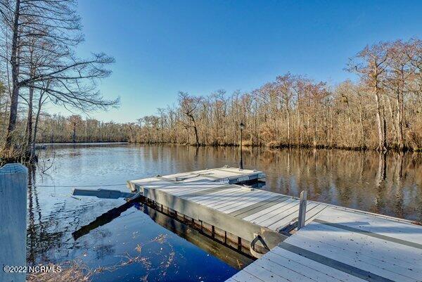 105 Alexis Hales Road Currie, NC 28435 - Photo 50 of 51 m_P7855262_3_4_5_6_7_8