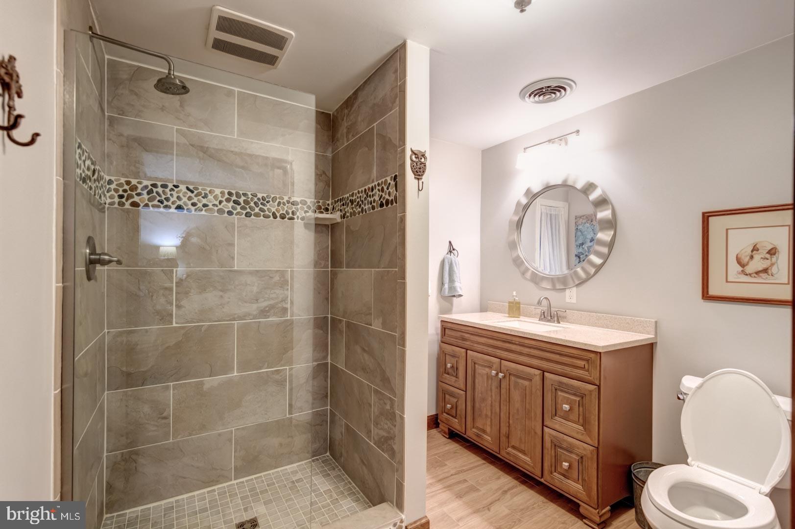 220 Isabella Road Elverson, PA 19520 - Photo 56 of 66 Guest Bath 1