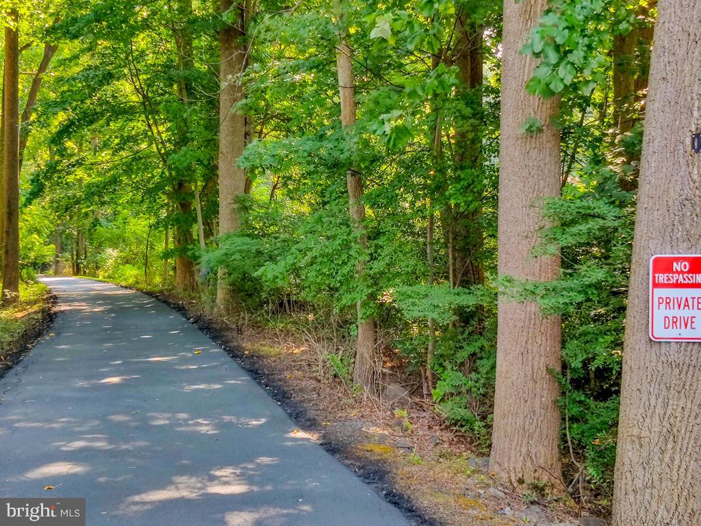 220 Isabella Road Elverson, PA 19520 - Photo 65 of 66 Entrance Driveway