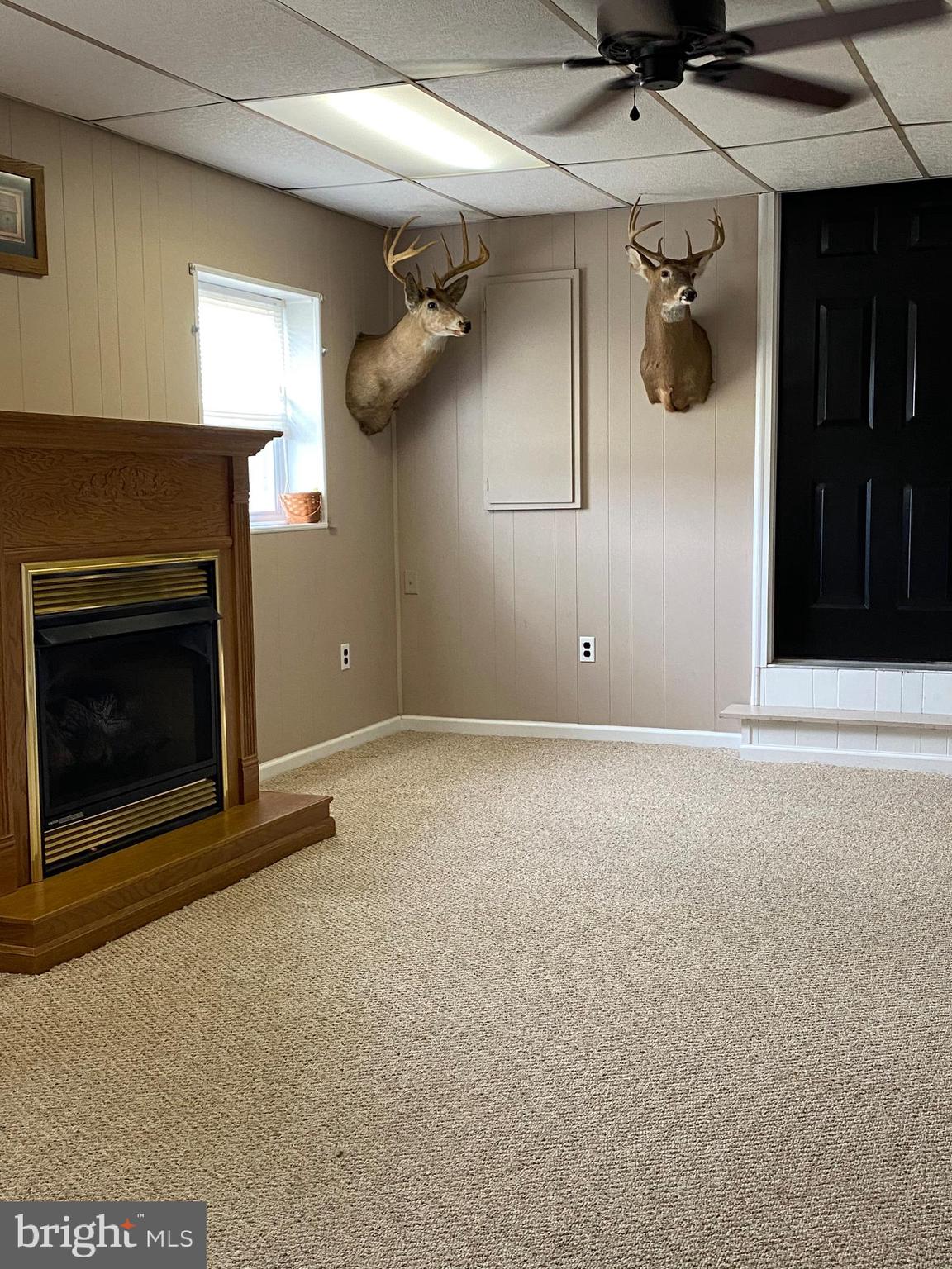7312 Levin Dashiell Road Hebron, MD 21830 - Photo 18 of 37 downstairs family room