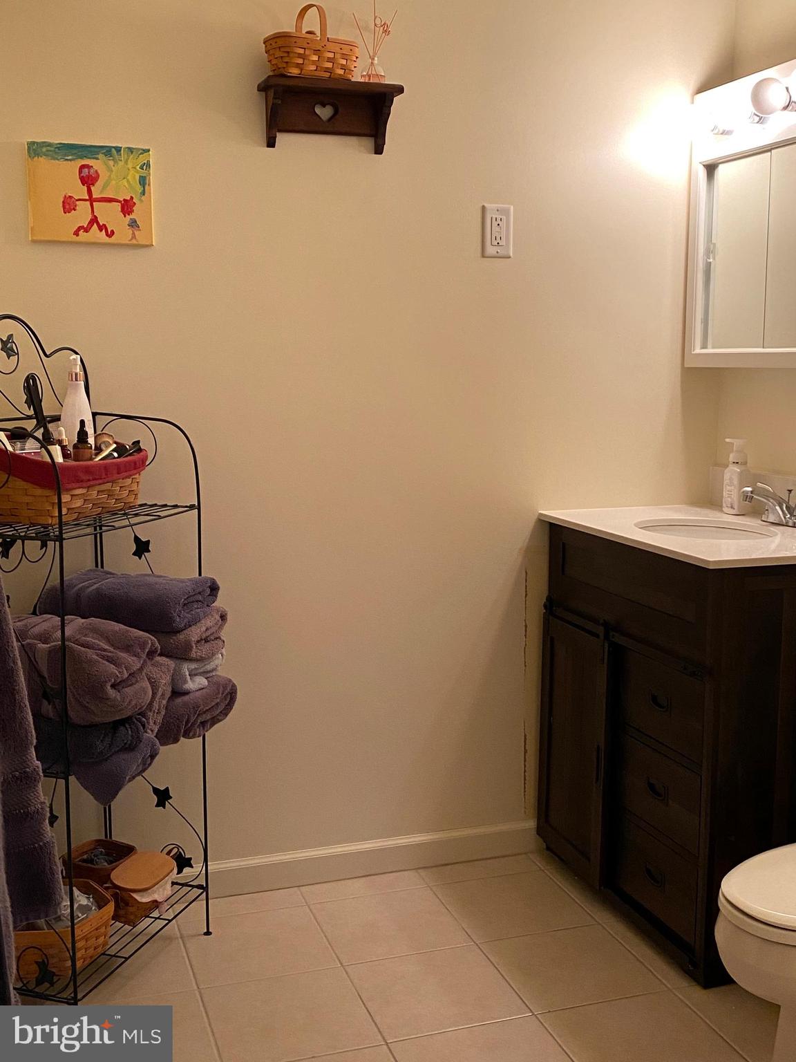 7312 Levin Dashiell Road Hebron, MD 21830 - Photo 22 of 37 master bathroom downstairs