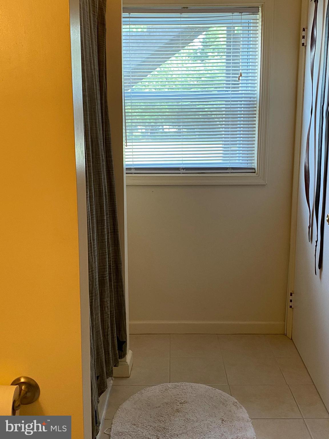 7312 Levin Dashiell Road Hebron, MD 21830 - Photo 23 of 37 Masterbath downstairs