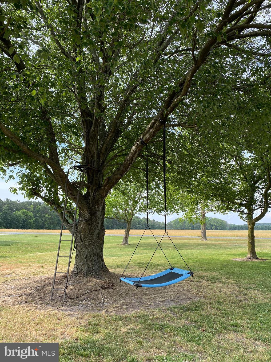 7312 Levin Dashiell Road Hebron, MD 21830 - Photo 33 of 37 a great shady spot
