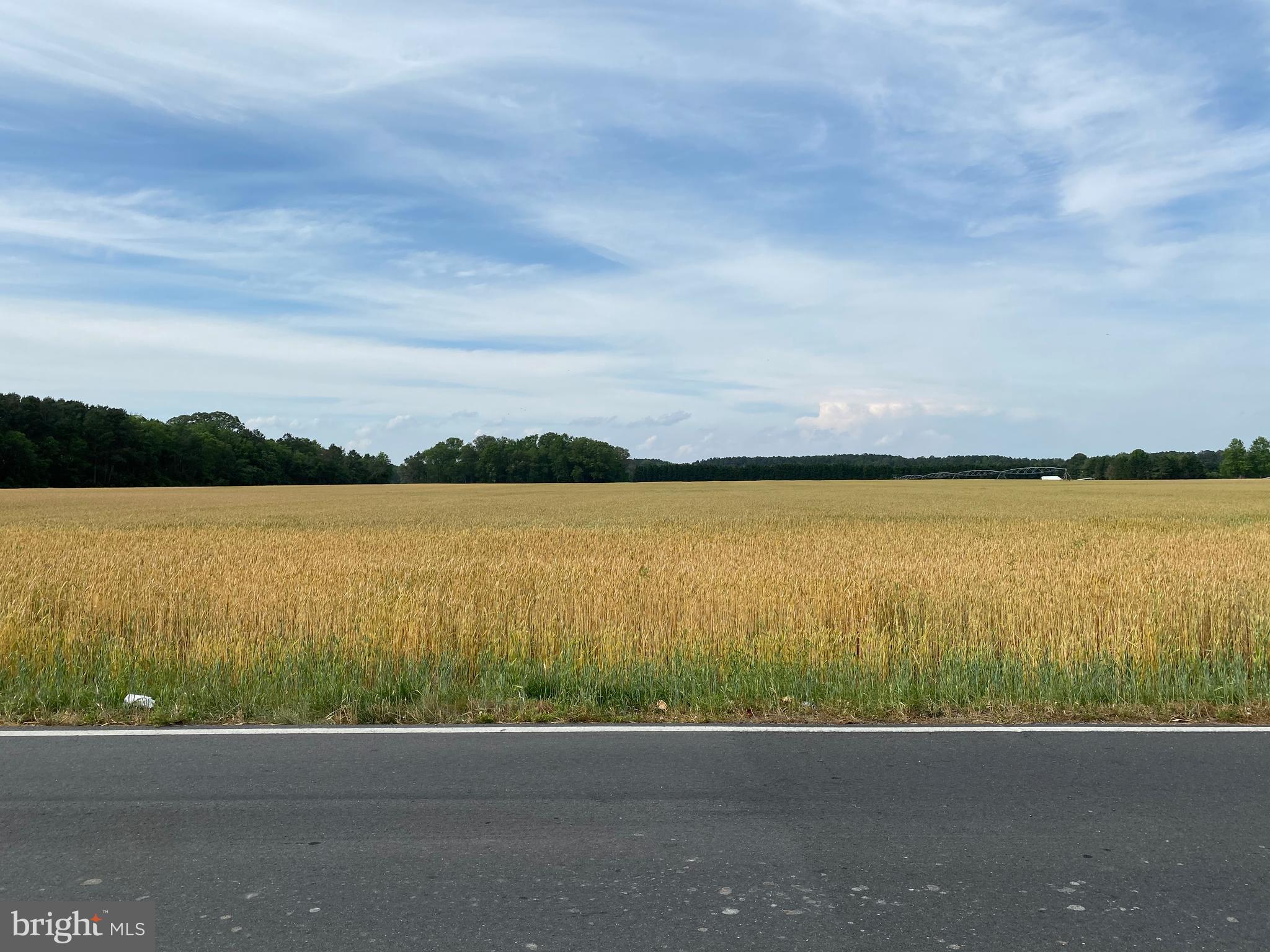 7312 Levin Dashiell Road Hebron, MD 21830 - Photo 36 of 37 Look at that view from your front door