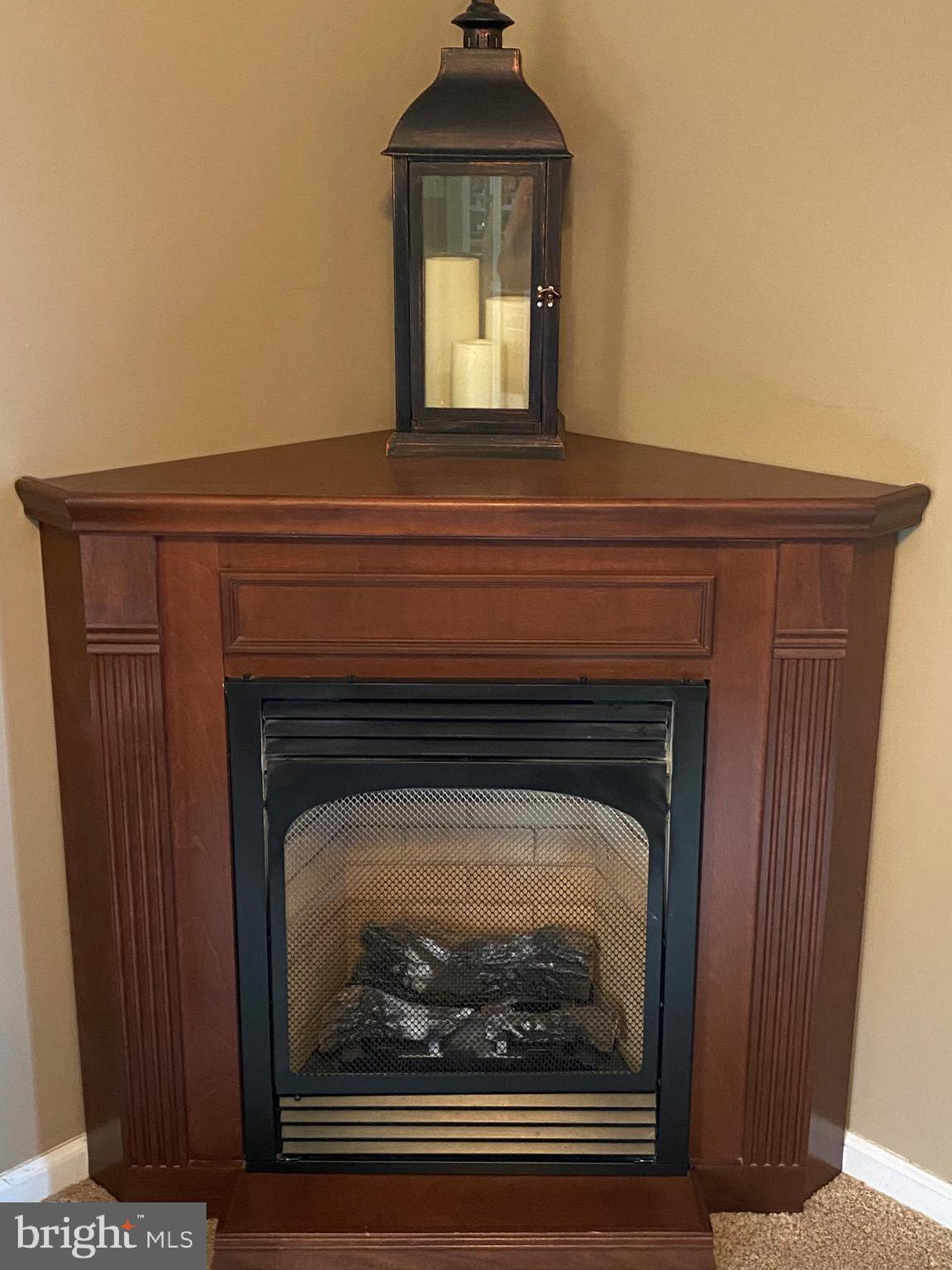 7312 Levin Dashiell Road Hebron, MD 21830 - Photo 10 of 37 gas fireplace in the upstairs family room