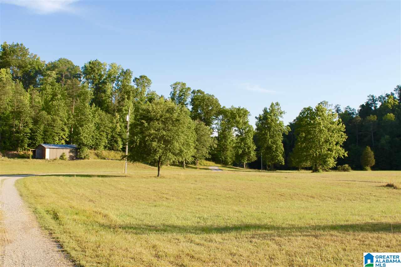 153 Ranch Road Jacksonville, AL 36265 - Photo 24 of 28
