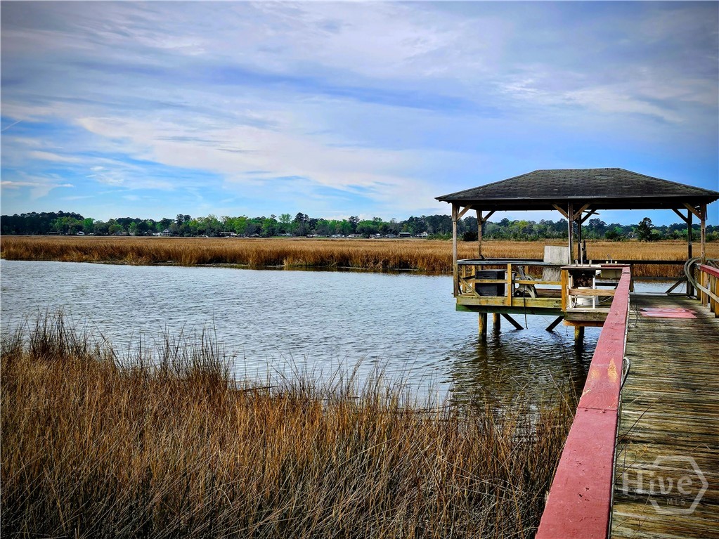 387 River Road Midway, GA 31320 - Photo 6 of 12