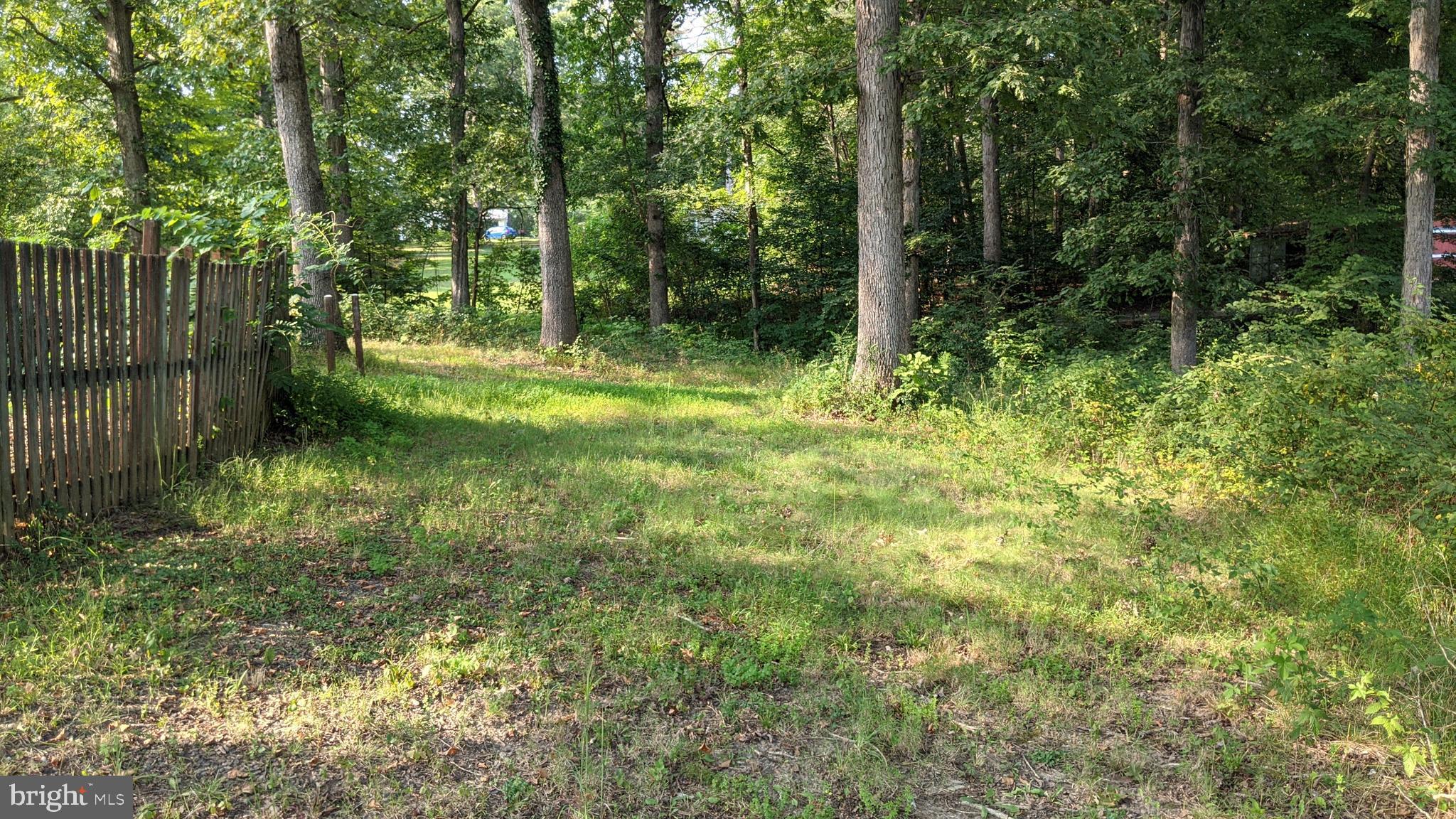Rear yard