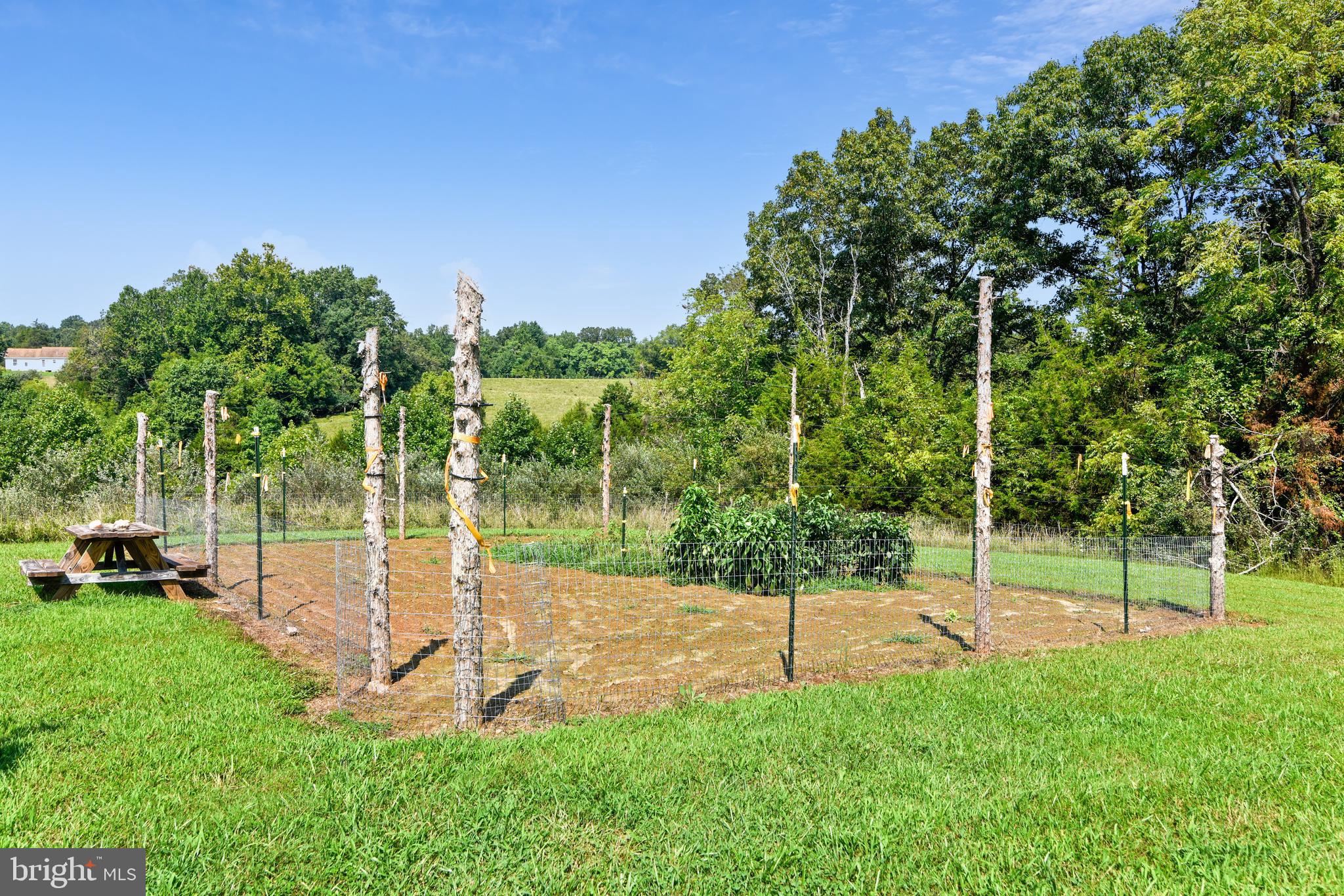 15111 Black Hill Road Rixeyville, VA 22737 - Photo 47 of 58 Gallery Image 47