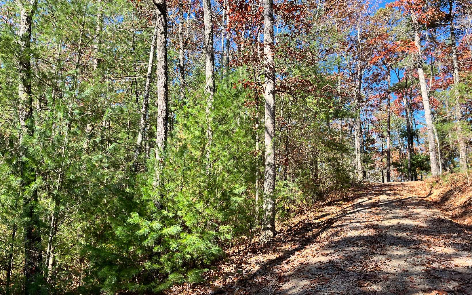 Adelaide Trail Blue Ridge, GA 30513 - Photo 3 of 12 Additional View