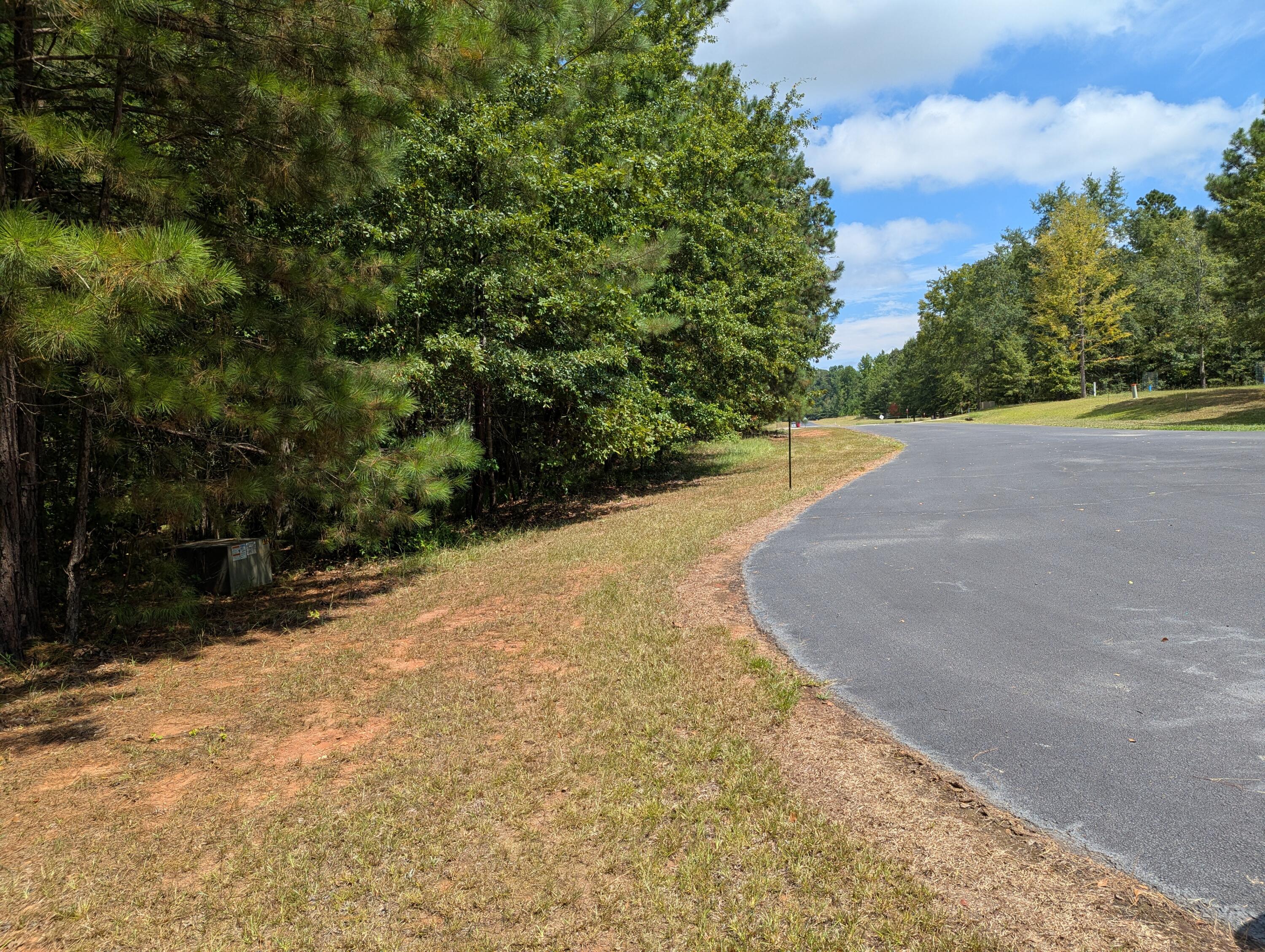 Lot 18 South Pointe Court Tignall, GA 30668 - Photo 9 of 14 PXL_20250730_154854703