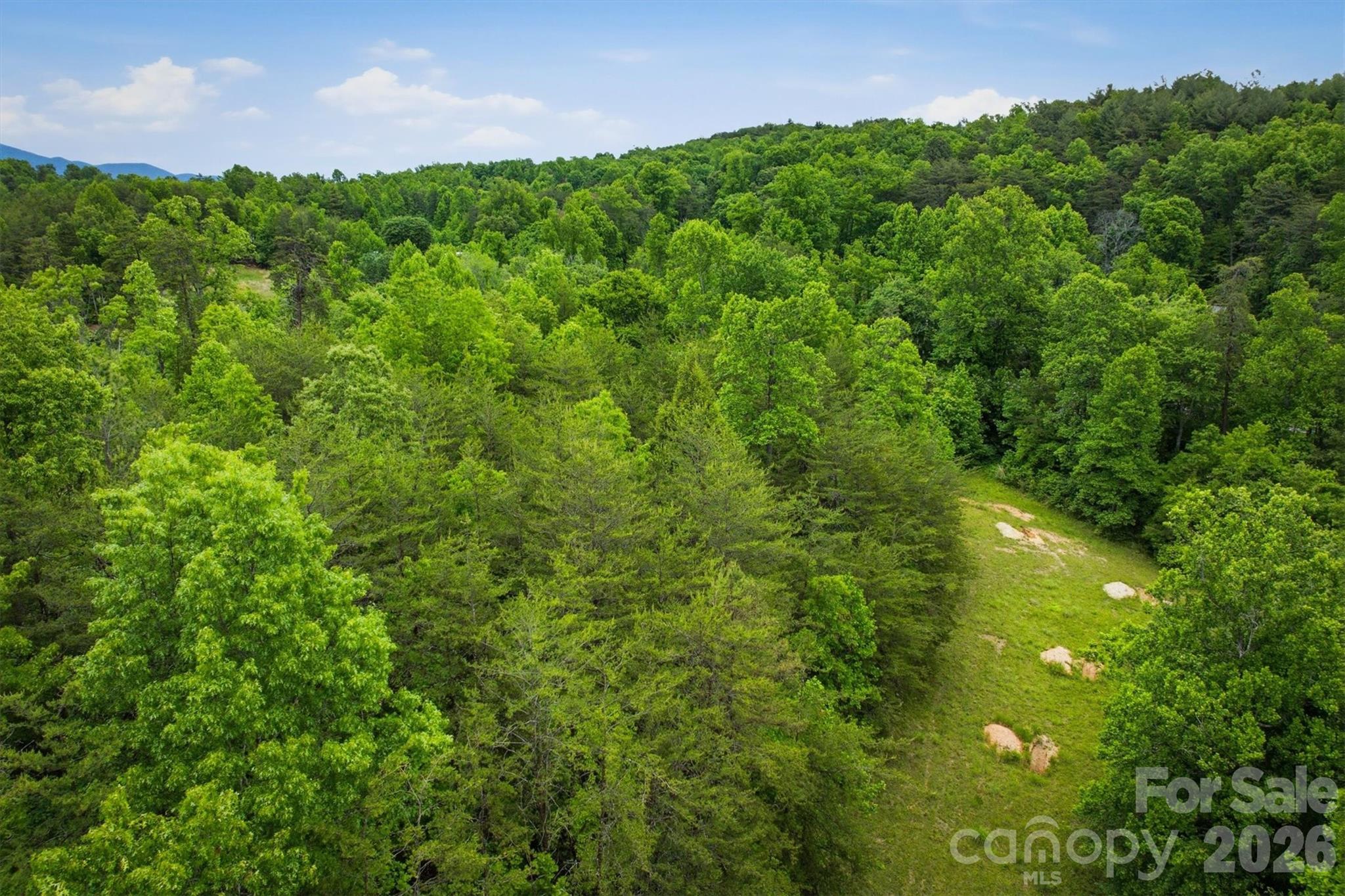 1350 Lavender Road Old Fort, NC 28762 - Photo 10 of 13