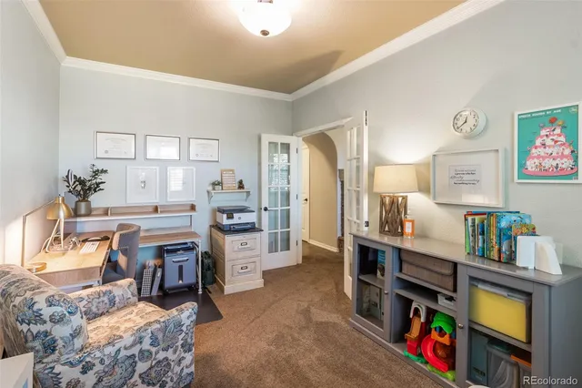 a room with furniture a rug and a book shelf