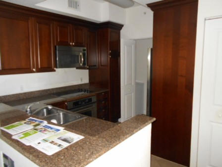 1690 Renaissance Commons Boulevard, Unit 1603 Boynton Beach, FL 33426 - Photo 11 of 17 269