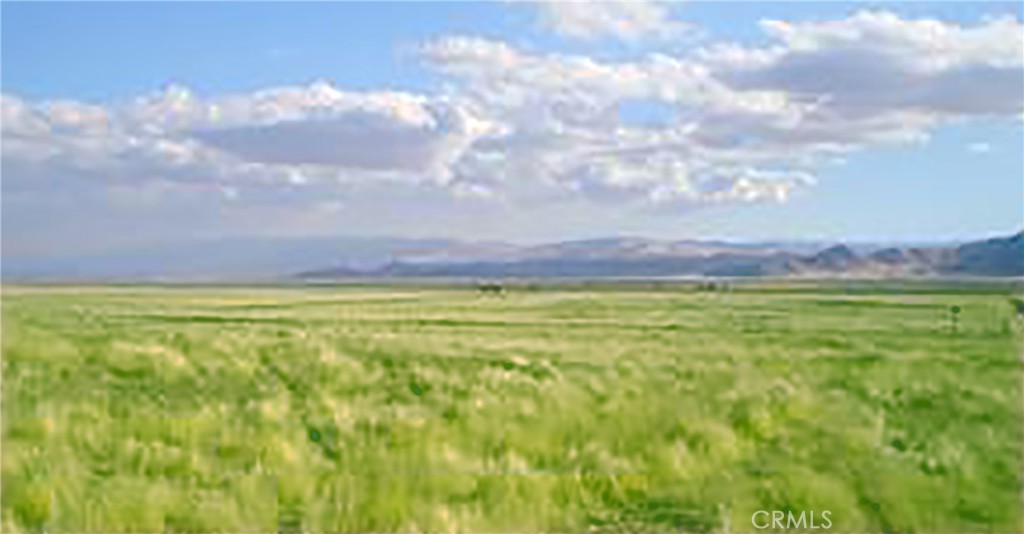 12875 Cooperstown Road Santa Margarita, CA 93453 - Photo 2 of 5 Facing South from lot
