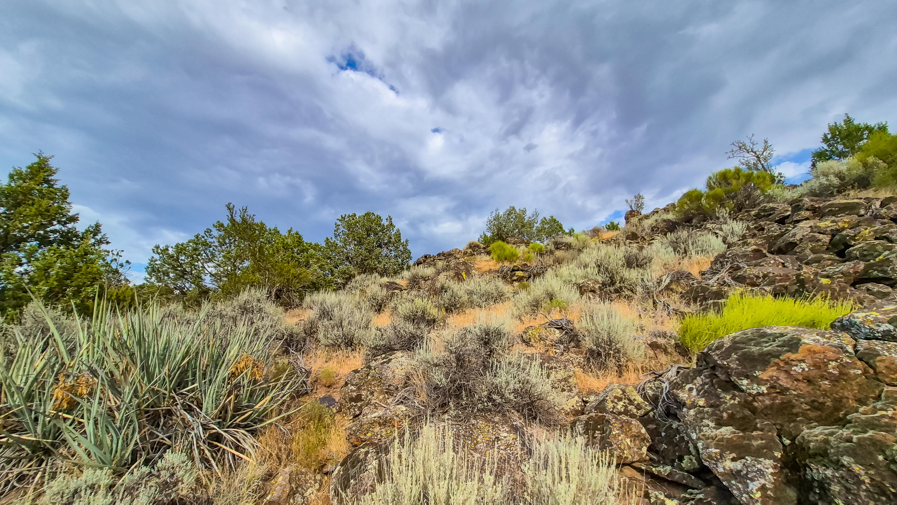 East Veyo Resort Road, Unit 7158ANW Veyo, UT 84782 - Photo 17 of 22 20260722_183208