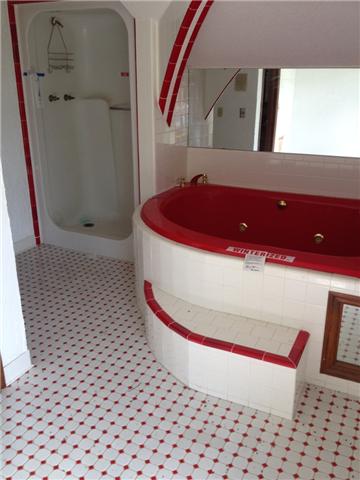 651 Big Spring Hollow Road Pulaski, TN 38478 - Photo 8 of 10 a bathroom with a bathtub and shower
