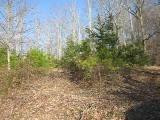 0 East Sallys Branch Road London, KY 40741 - Photo 2 of 4 Photo 2