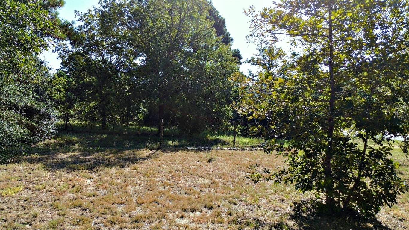 109 Travis Road Paige, TX 78659 - Photo 12 of 39 a backyard of a house with lots of green space