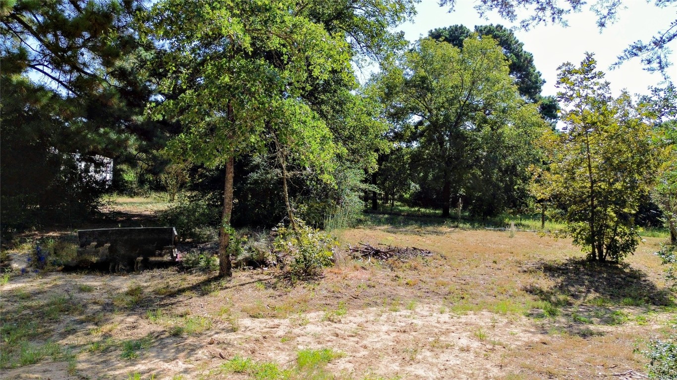 109 Travis Road Paige, TX 78659 - Photo 25 of 39 a view of a yard with large trees