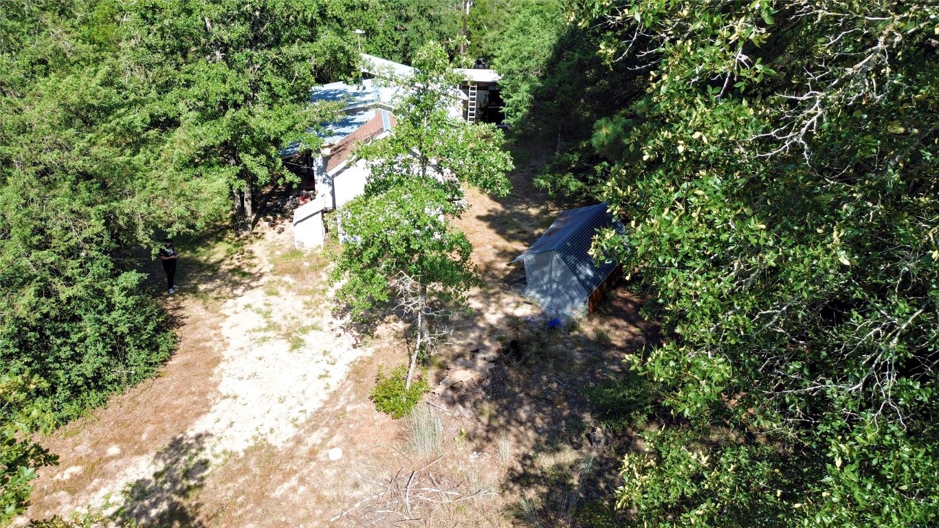 109 Travis Road Paige, TX 78659 - Photo 30 of 39 a picture of trees